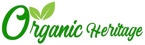 logo img